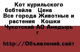 Кот курильского бобтейла › Цена ­ 5 000 - Все города Животные и растения » Кошки   . Чукотский АО,Анадырь г.